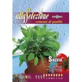 Seminte salvia medicinala Alta Selezione