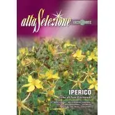 Seminte sunatoare Alta Selezione
