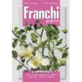 Seminte capere Franchi Sementi