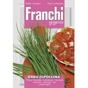 Seminte ceapa de tuns Franchi Sementi