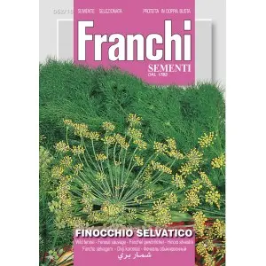 Seminte chimen dulce Franchi Sementi