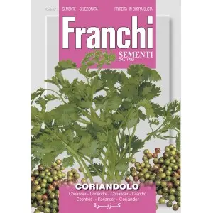 Seminte coriandru Franchi Sementi