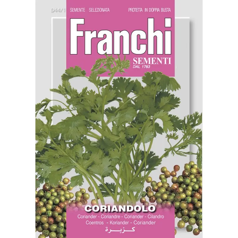 Seminte coriandru Franchi Sementi
