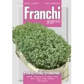 Seminte creson comun Franchi Sementi