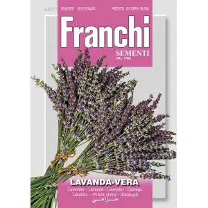 Seminte lavanda Franchi Sementi