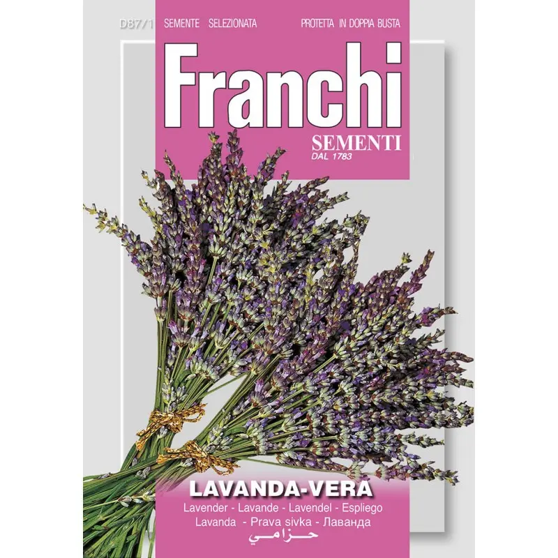 Seminte lavanda Franchi Sementi