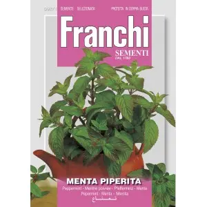 Seminte menta Franchi Sementi