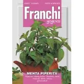 Seminte menta Franchi Sementi