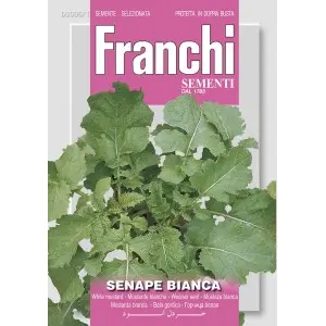 Seminte mustar alb Franchi Sementi