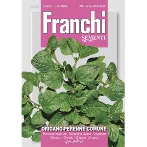 Seminte oregano Franchi Sementi