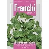 Seminte oregano Franchi Sementi