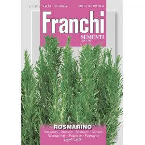 Seminte rozmarin Franchi Sementi