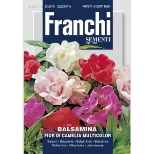 Seminte balsamina cu flori de Camelie