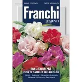 Seminte balsamina cu flori de Camelie