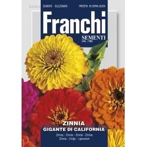 Seminte carciumareasa giganta de California Multicolor