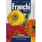 Seminte carciumareasa giganta de California Multicolor