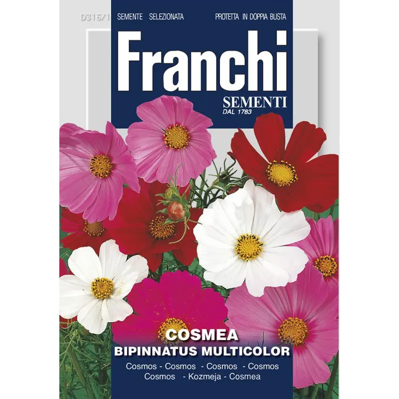 Seminte cosmos Multicolor