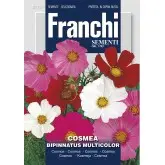 Seminte cosmos Multicolor