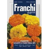 Seminte craita giganta cu flori Mix