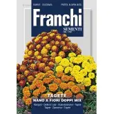 Seminte craita pitica cu flori duble Mix