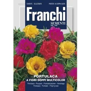 Seminte flori de piatra cu flori duble Multicolor