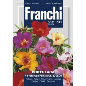 Seminte flori de piatra Multicolor