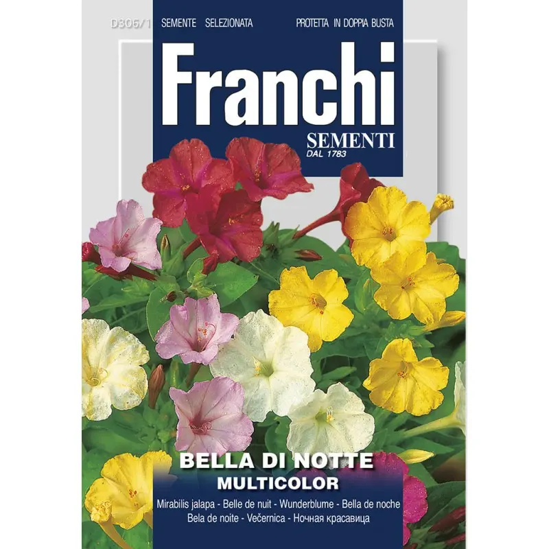 Seminte frumoasa noptii Multicolor