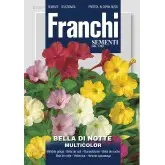 Seminte frumoasa noptii Multicolor