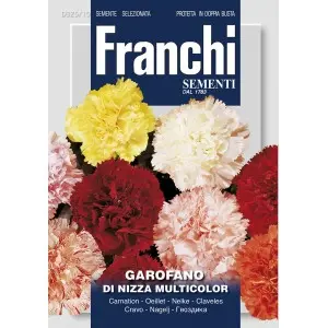 Seminte garoafa de Nisa Multicolor