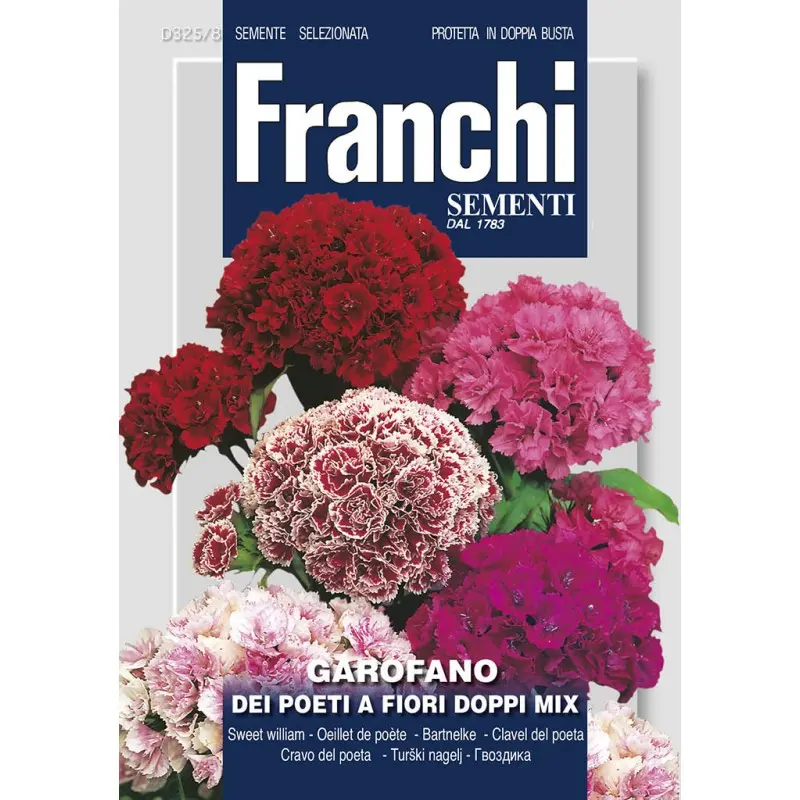 Seminte garofita de gradina flori duble Mix