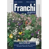 Seminte gazon Japonez Multicolor Franchi Sementi