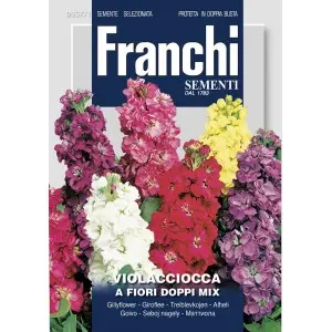 Seminte mixandre cu flori duble Multicolor