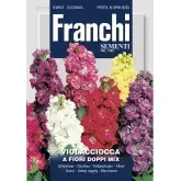 Seminte mixandre cu flori duble Multicolor