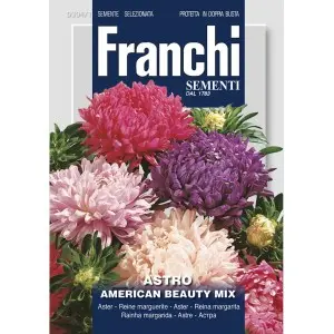 Seminte ochiul boului American Beauty Multicolor