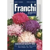 Seminte ochiul boului American Beauty Multicolor