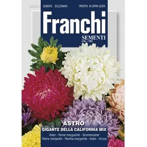 Seminte ochiul boului Gigant de California Mix