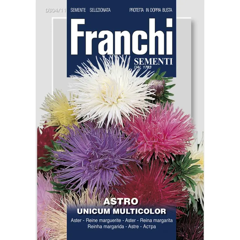 Seminte ochiul boului Unicum Multicolor