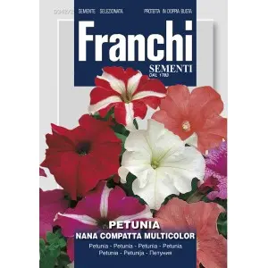 Seminte petunia pitica compacta multicolor