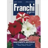Seminte petunia pitica compacta multicolor