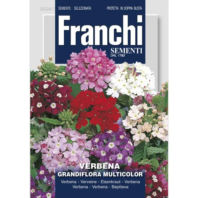 Seminte urzicuta Grandiflora Mix