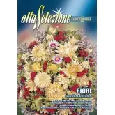 Seminte flori uscate multicolor