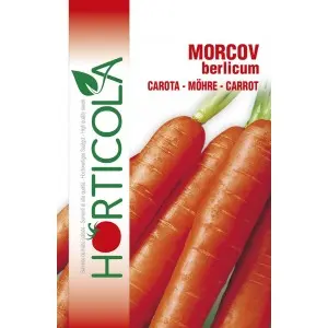 Seminte morcovi Berlicum Horticola