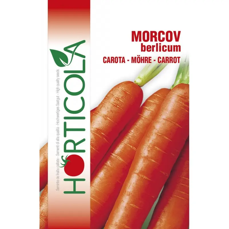 Seminte morcovi Berlicum Horticola