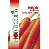 Seminte morcovi Berlicum Horticola