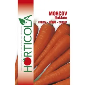 Seminte morcovi Flakkee Horticola