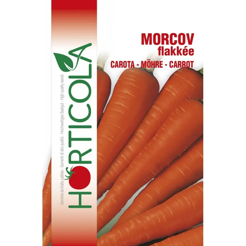 Seminte morcovi Flakkee Horticola