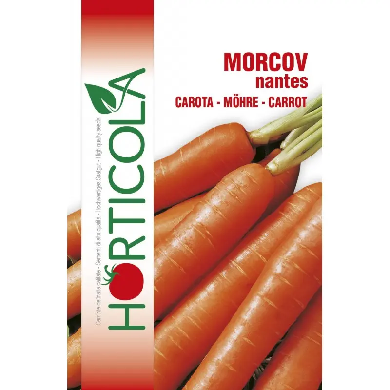 Seminte morcovi Nantes Horticola