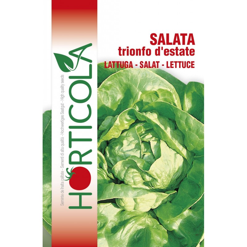 Seminte salata Trionfo D'estate Horticola