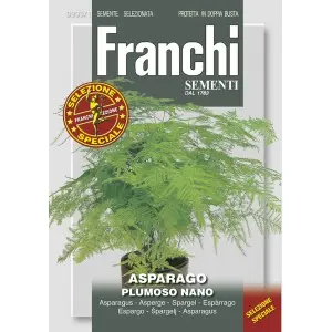 Seminte asparagus Plumoso