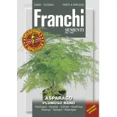 Seminte asparagus Plumoso